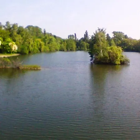 別荘 Maison Spacieuse A Avec Vue Sur La Montagne インガースハイム